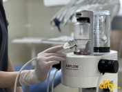 ���� ��� ������ "ĳ��"